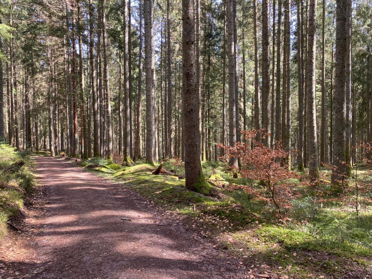 Ferienwohnung Lang - Schoene 3-Zimmer-Wohnung Bonndorf im Schwarzwald Dış mekan fotoğraf